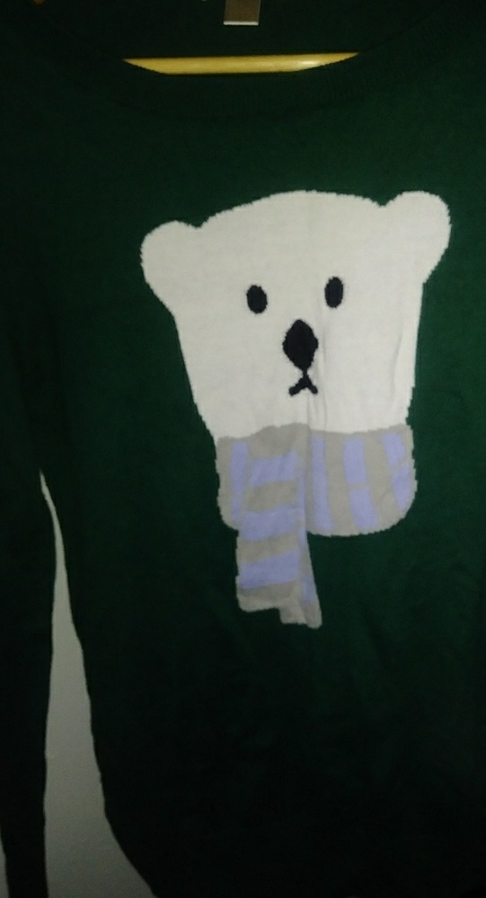 Polar Bear sweater $10